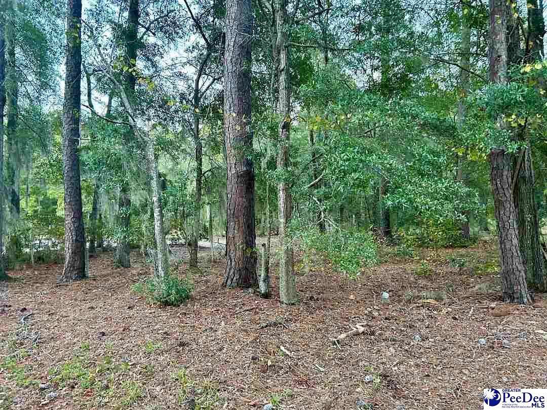 2.8 Acres of Residential Land for Sale in Nichols, South Carolina