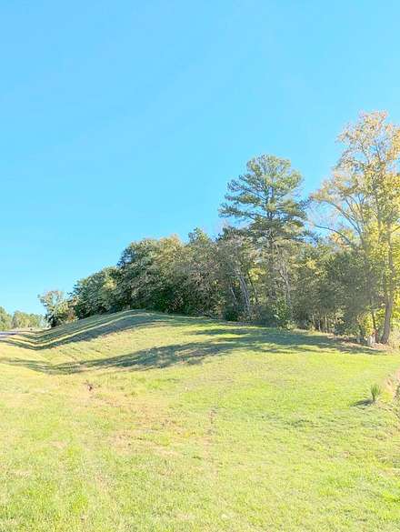 0.66 Acres of Land for Sale in Palestine, Texas