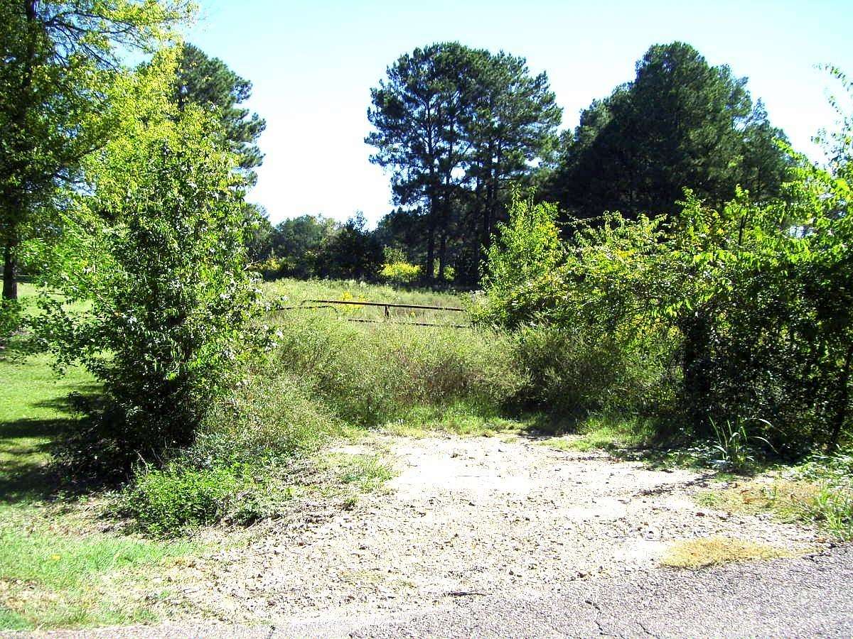 38.2 Acres of Agricultural Land for Sale in Ashdown, Arkansas