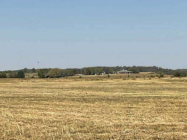 78.3 Acres of Agricultural Land for Sale in Branch, Arkansas