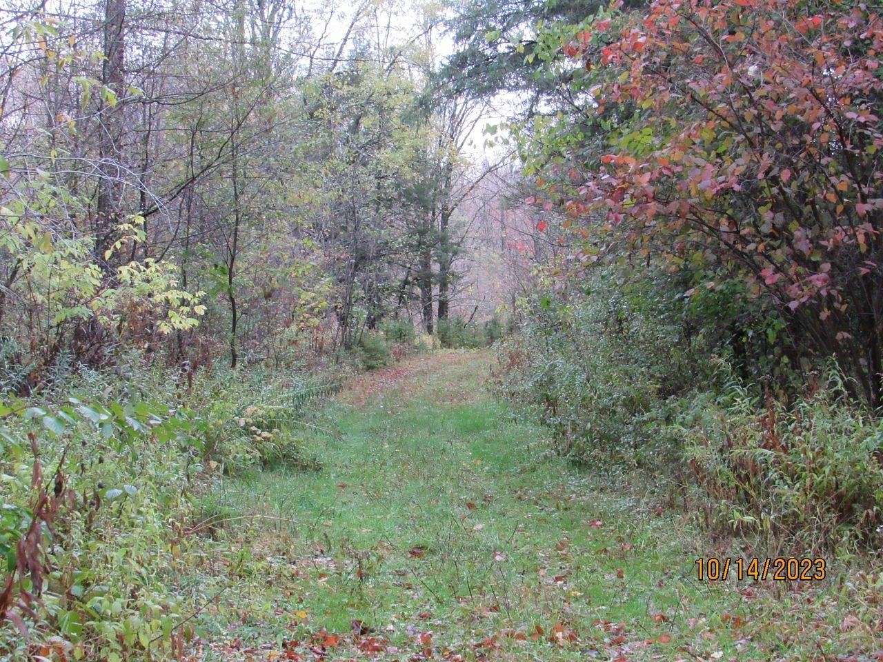 160 Acres of Land for Sale in Ogema, Wisconsin