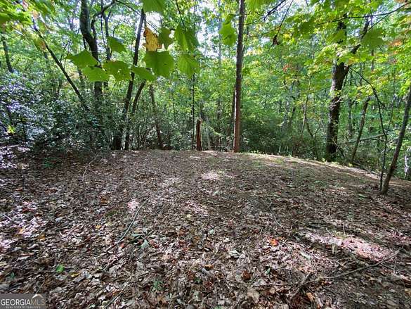 2 Acres of Residential Land for Sale in Cleveland, Georgia