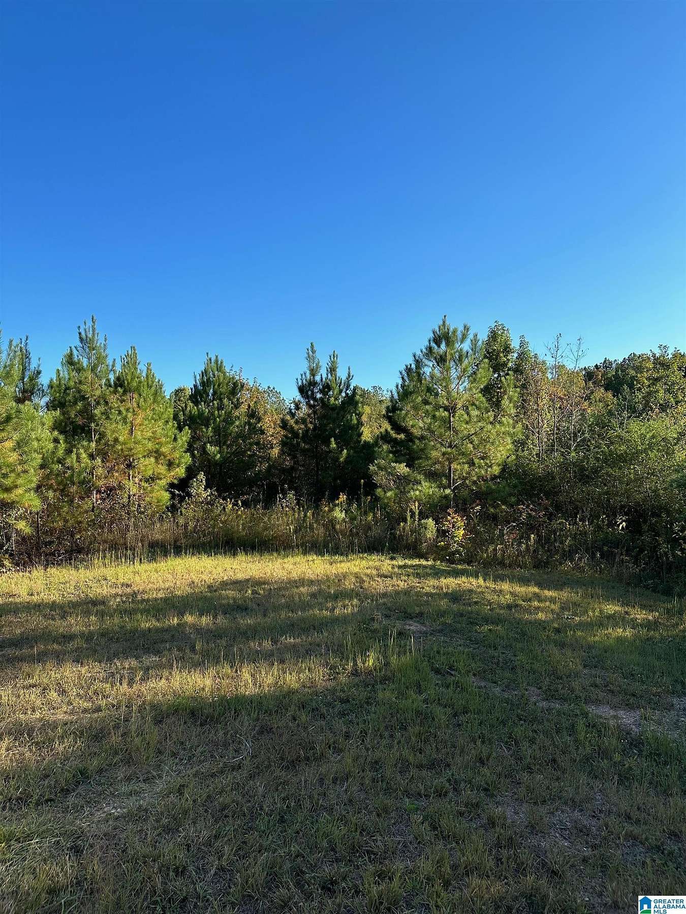 16 Acres of Land for Sale in Shelby, Alabama