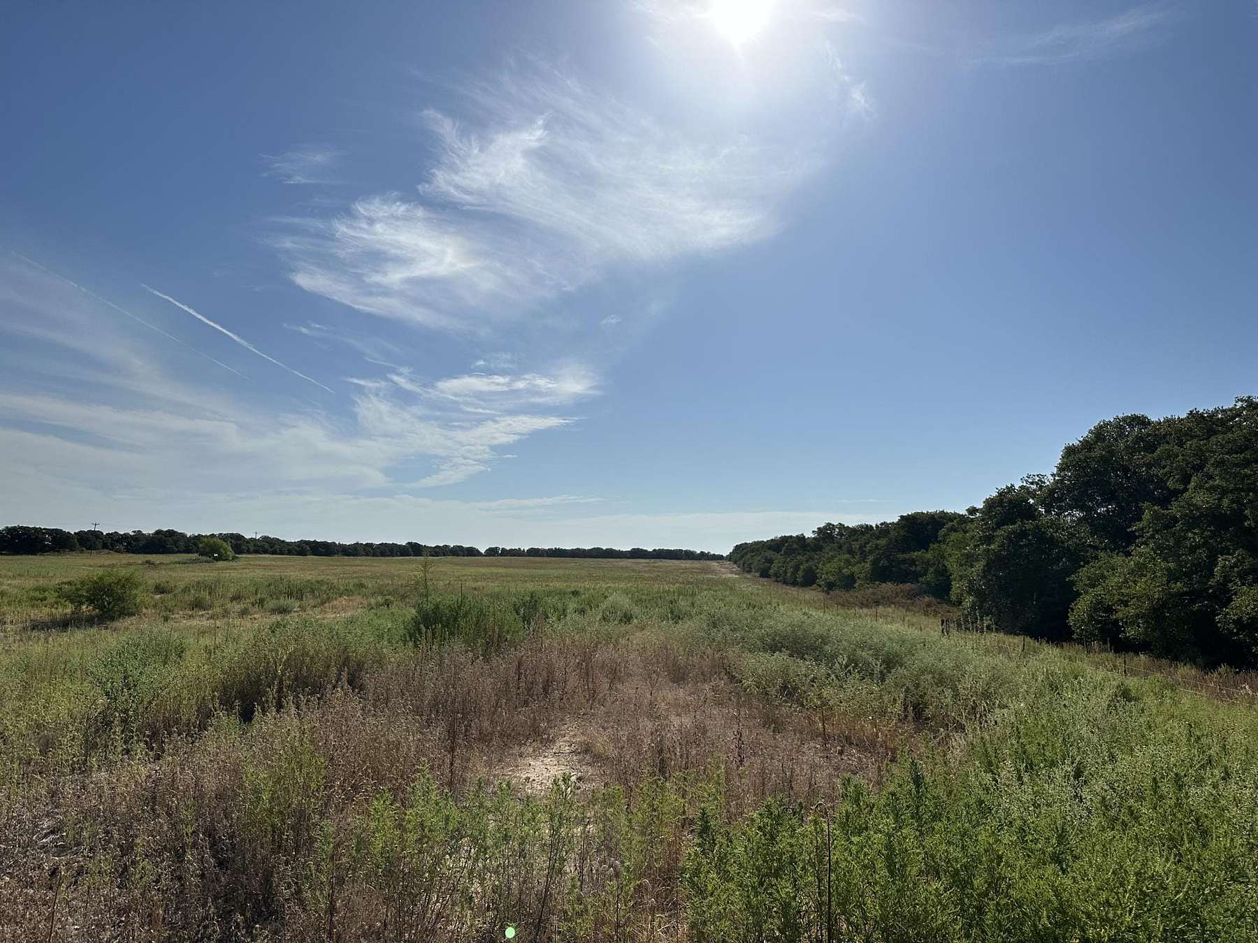 63 Acres of Recreational Land for Sale in Cross Plains, Texas