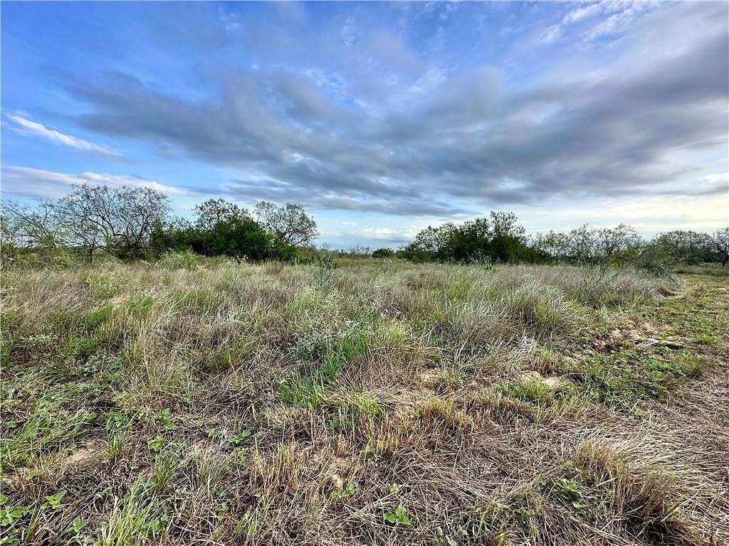 Land for Sale in Realitos, Texas