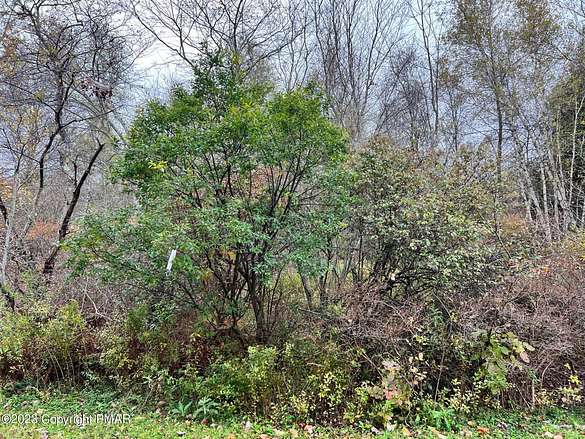 0.55 Acres of Residential Land for Sale in Pocono Lake, Pennsylvania