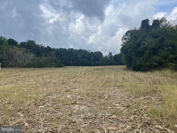 9.8 Acres of Agricultural Land for Sale in Millsboro, Delaware