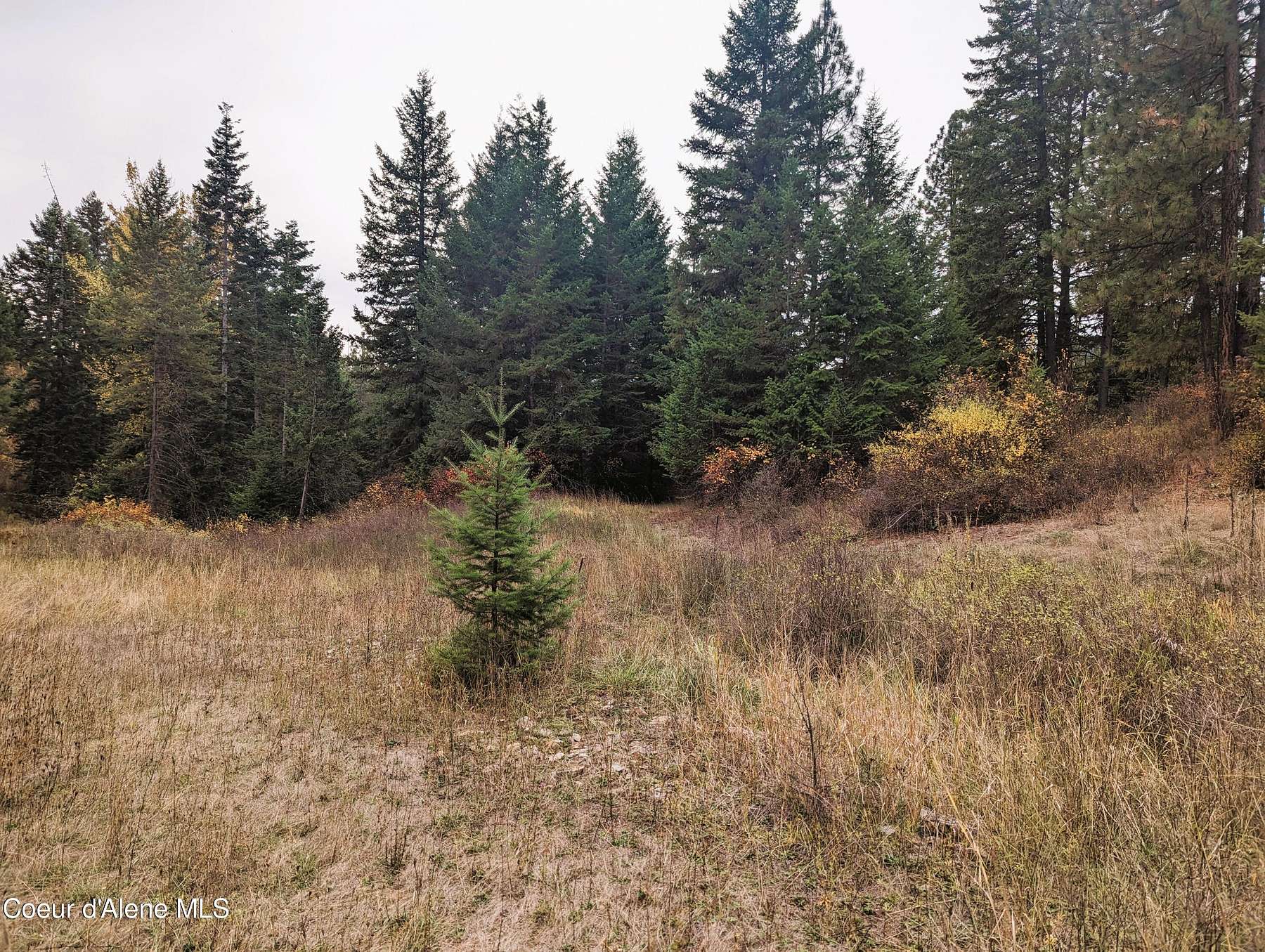 3.2 Acres of Land for Sale in St. Maries, Idaho