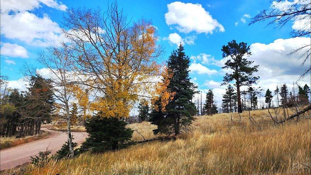 1.1 Acres of Residential Land for Sale in Fort Garland, Colorado