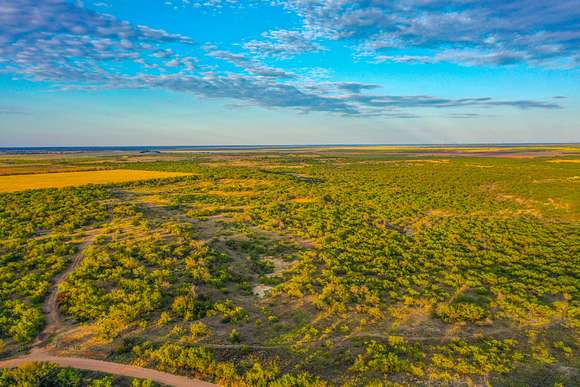 160 Acres of Recreational Land & Farm for Sale in Woodson, Texas