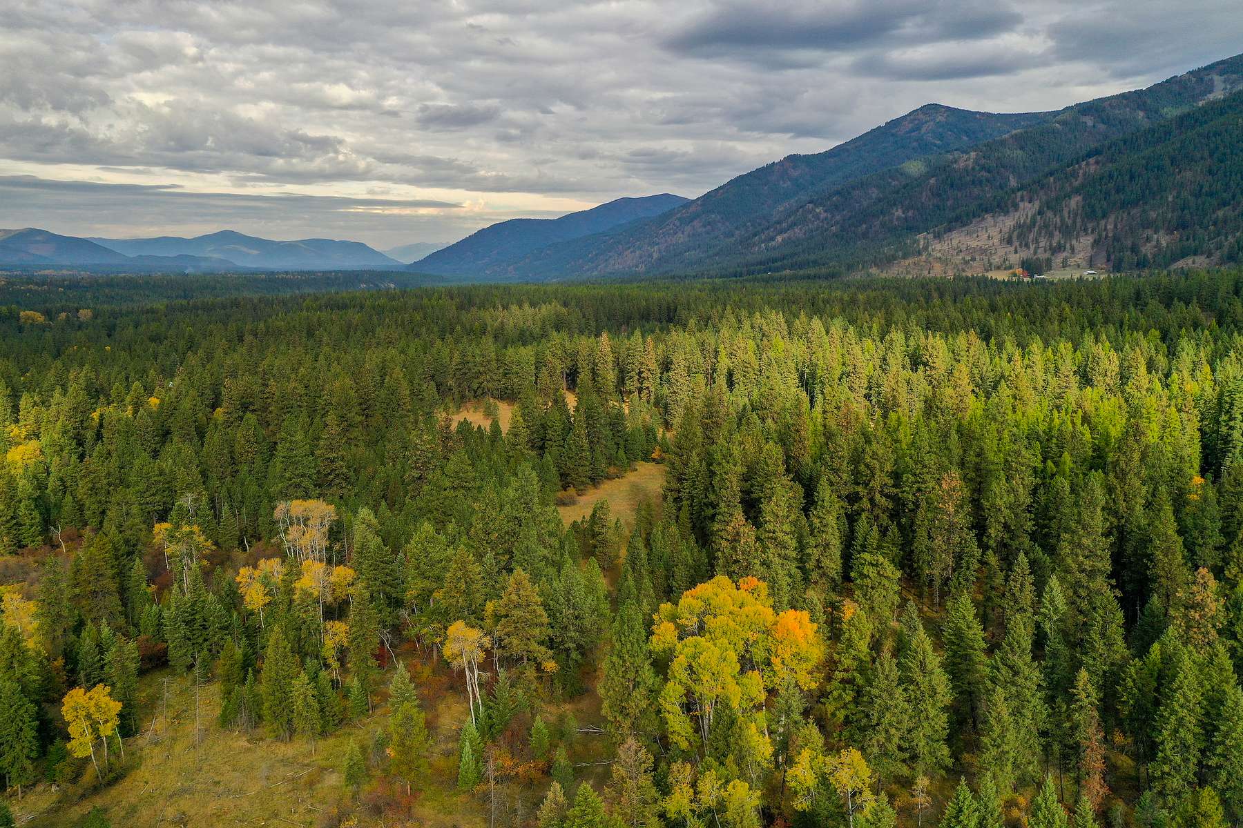 30.6 Acres of Recreational Land for Sale in Thompson Falls, Montana