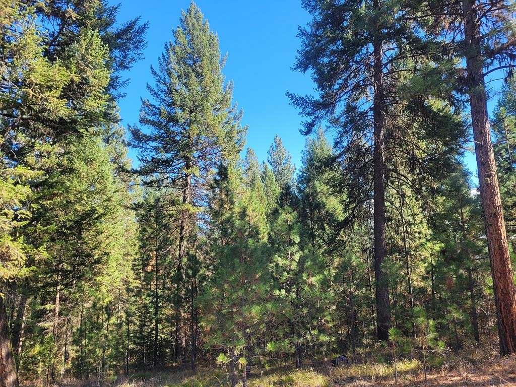 0.81 Acres of Residential Land for Sale in New Meadows, Idaho