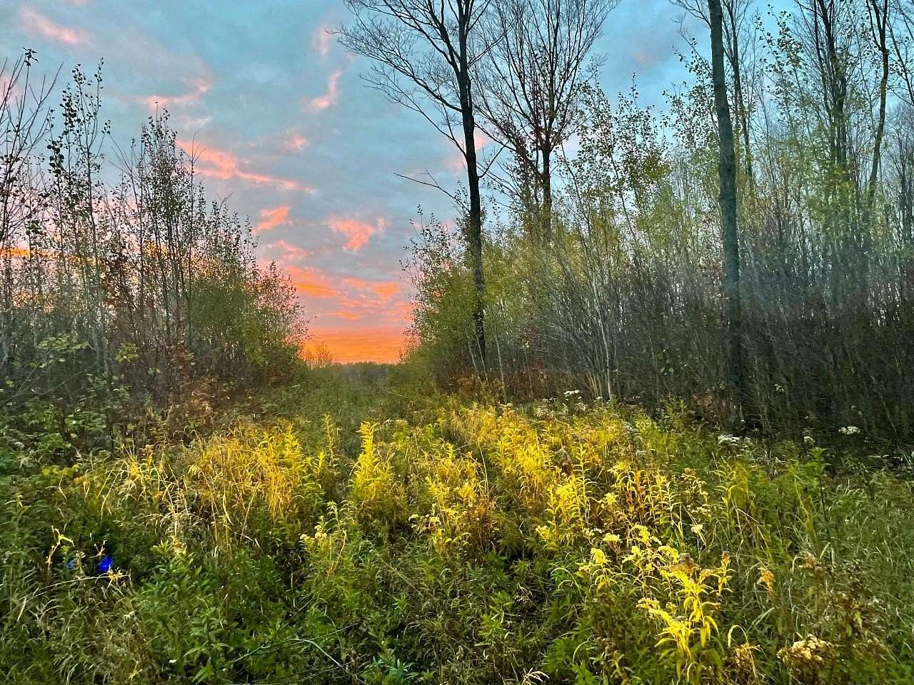 2,166 Acres of Land for Sale in Phillips, Wisconsin