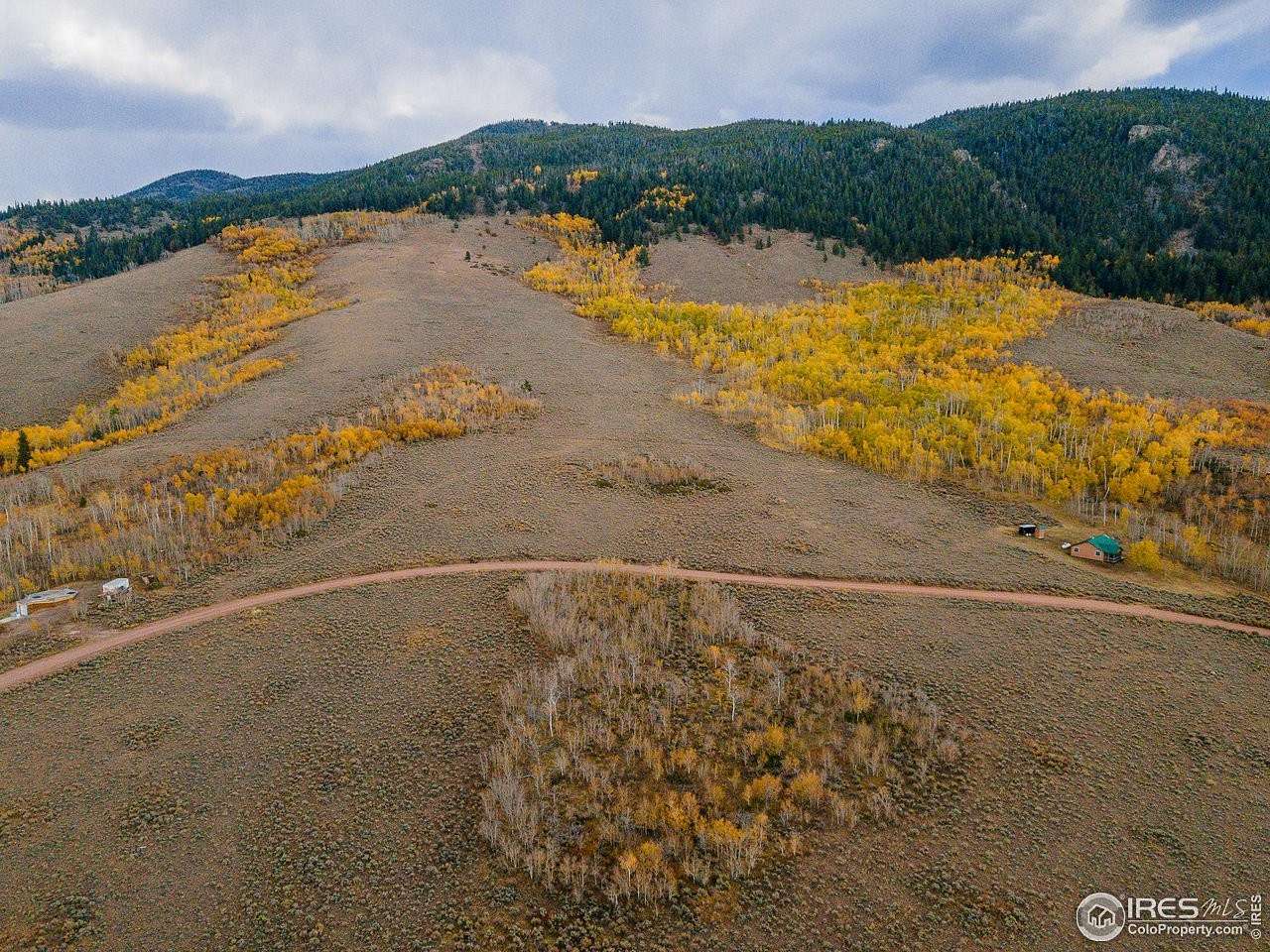 3.2 Acres of Residential Land for Sale in Red Feather Lakes, Colorado