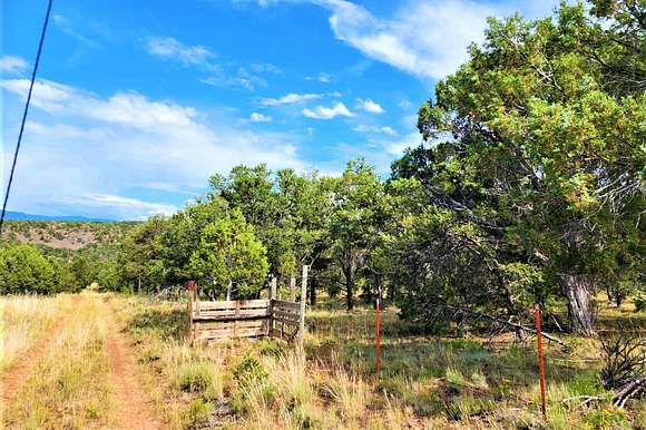 45 Acres of Land for Sale in Montrose, Colorado