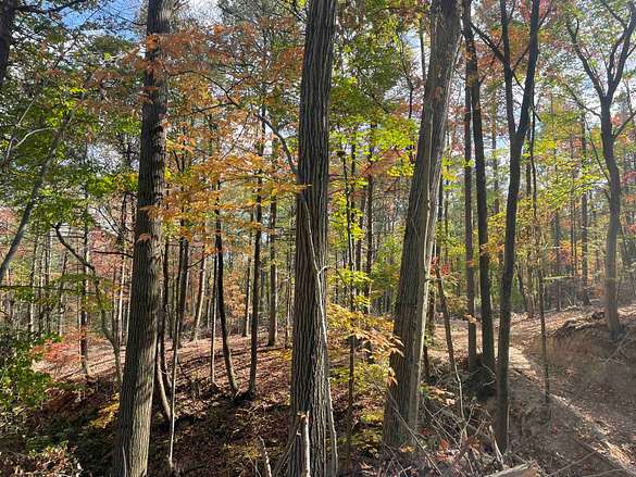 17 Acres of Recreational Land for Sale in Dansville, New York