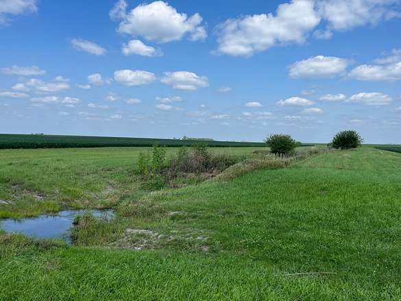 80 Acres of Recreational Land & Farm for Sale in Dana, Illinois
