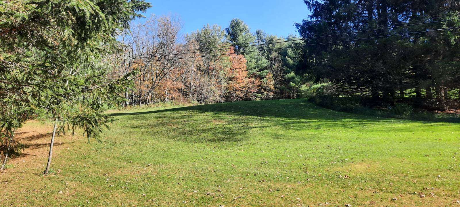 1.3 Acres of Residential Land for Sale in Walton, New York