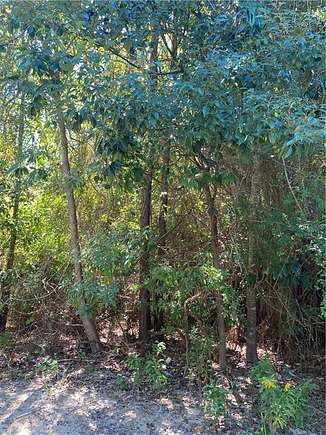 0.17 Acres of Residential Land for Sale in Theodore, Alabama