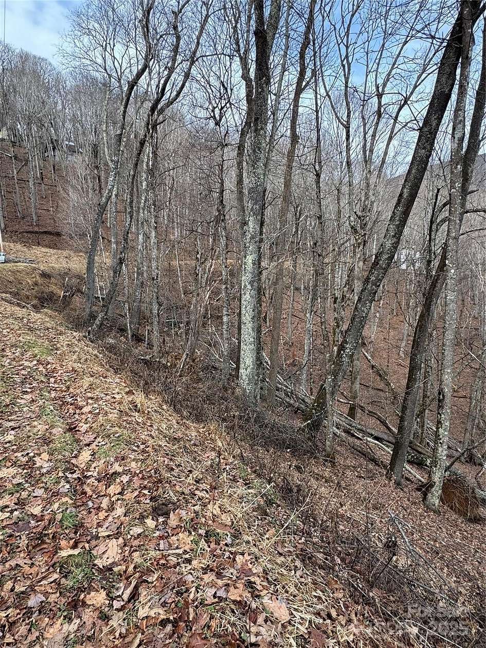 0.77 Acres of Land for Sale in Mars Hill, North Carolina