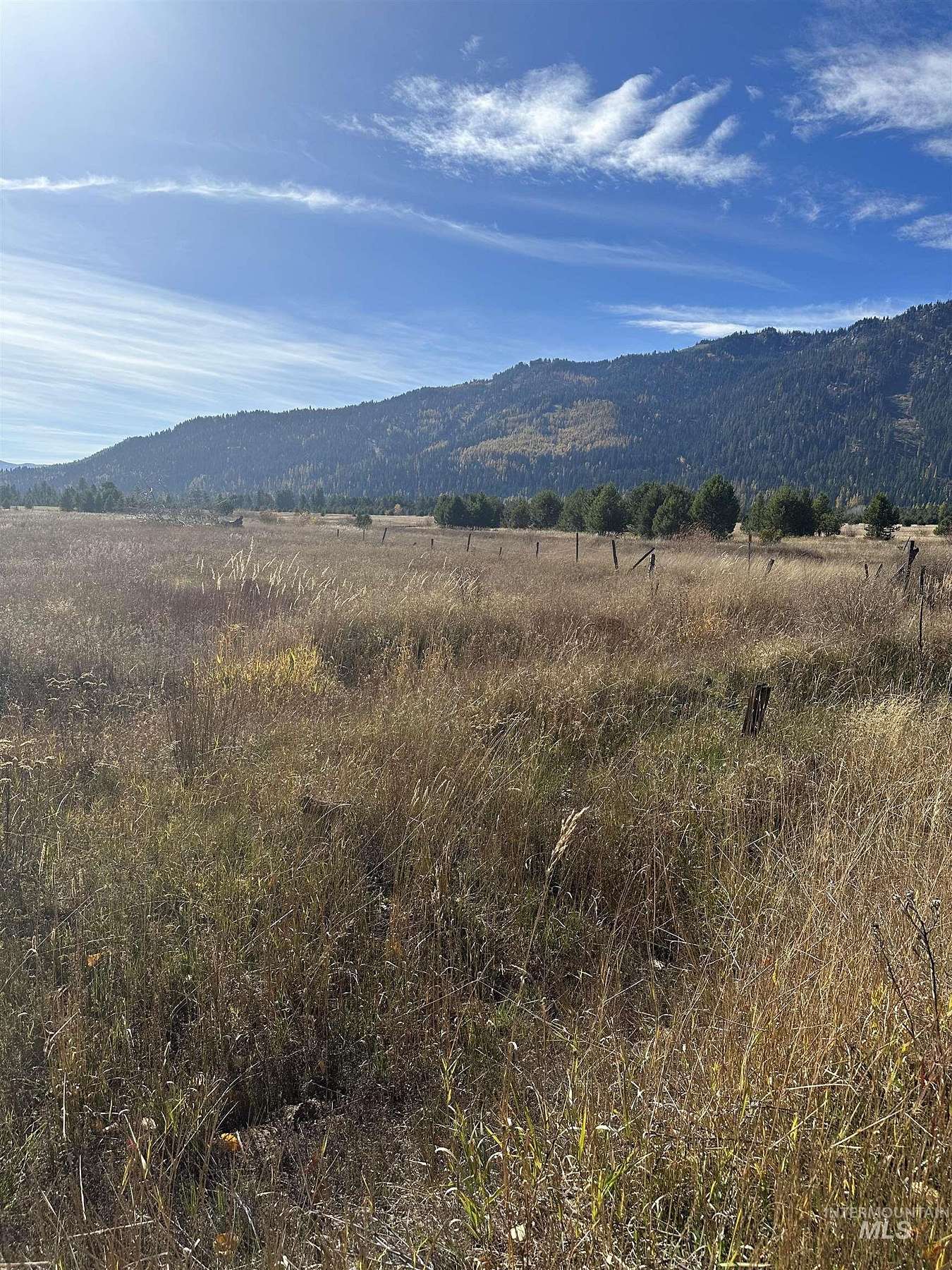 21.2 Acres of Agricultural Land for Sale in Donnelly, Idaho