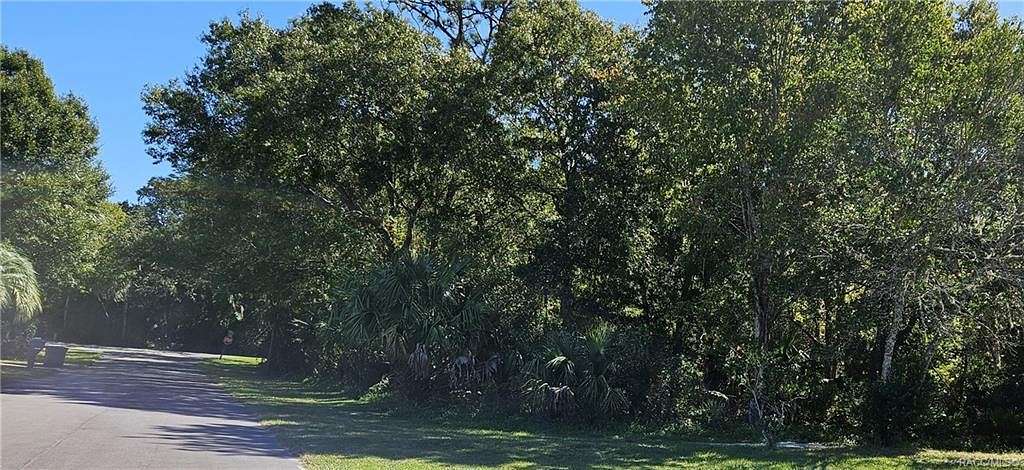 0.19 Acres of Residential Land for Sale in Crystal River, Florida