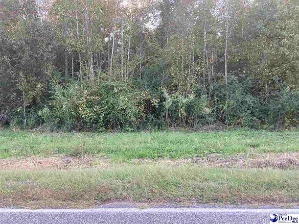 0.93 Acres of Residential Land for Sale in Fork, South Carolina