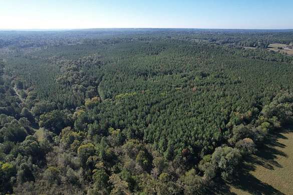 296 Acres of Recreational Land & Farm for Sale in Lufkin, Texas