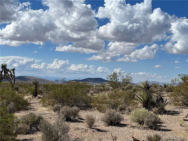 1 Acre of Residential Land for Sale in White Hills, Arizona