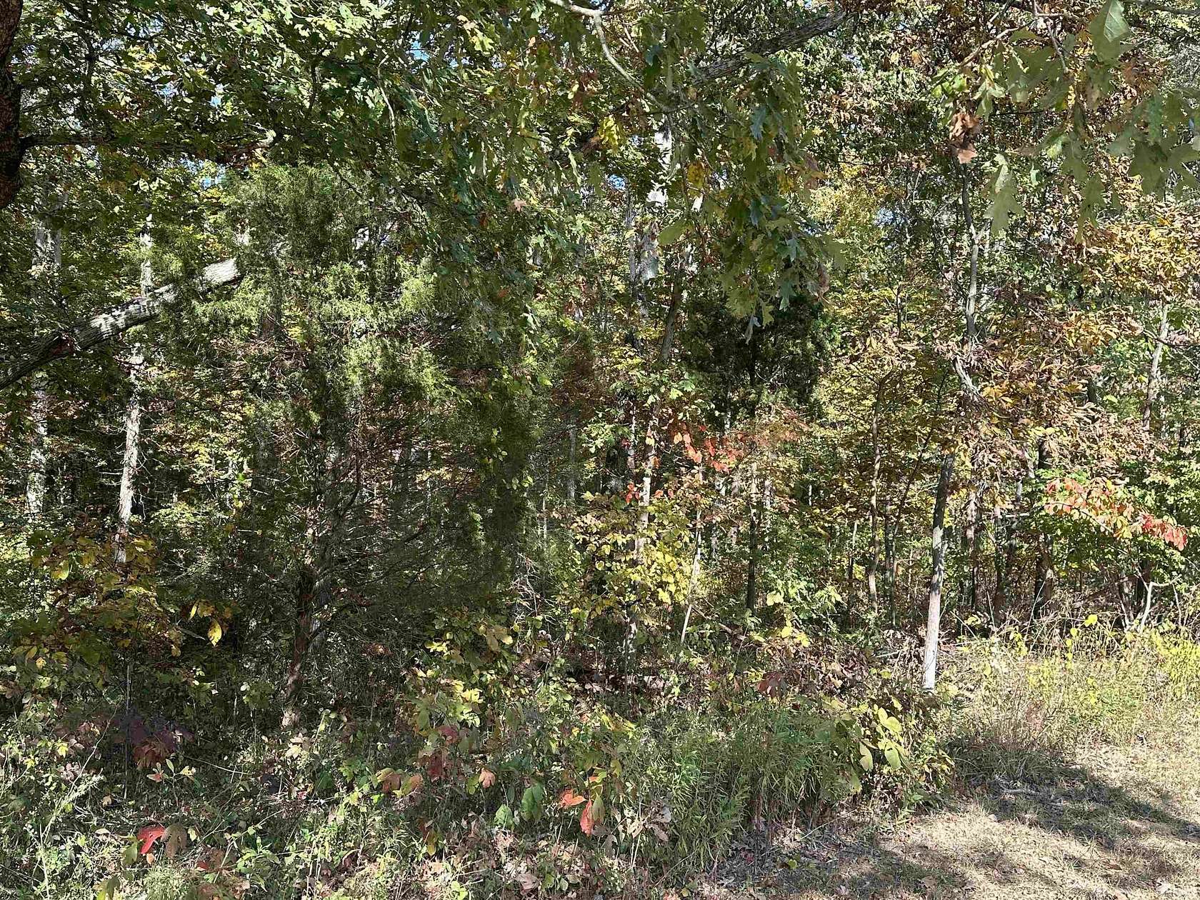 0.6 Acres of Residential Land for Sale in Santa Claus, Indiana