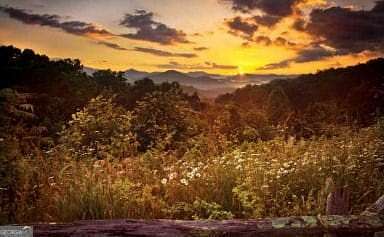 11.4 Acres of Land for Sale in Clayton, Georgia