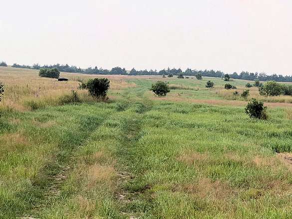 160 Acres of Recreational Land & Farm for Sale in Neligh, Nebraska