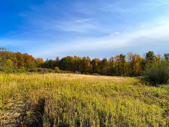 24 Acres of Recreational Land for Sale in Colden, New York