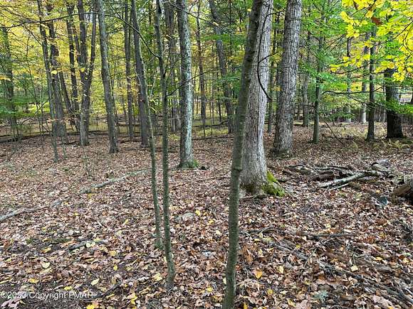0.44 Acres of Residential Land for Sale in Tannersville, Pennsylvania