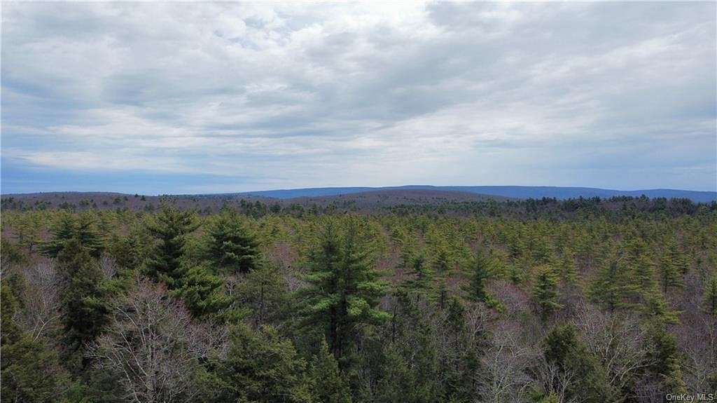 41.2 Acres of Recreational Land for Sale in Wawarsing, New York