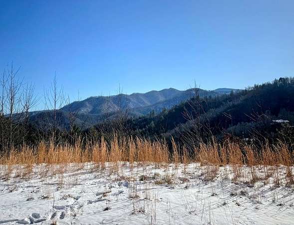 2 Acres of Residential Land for Sale in Bryson City, North Carolina