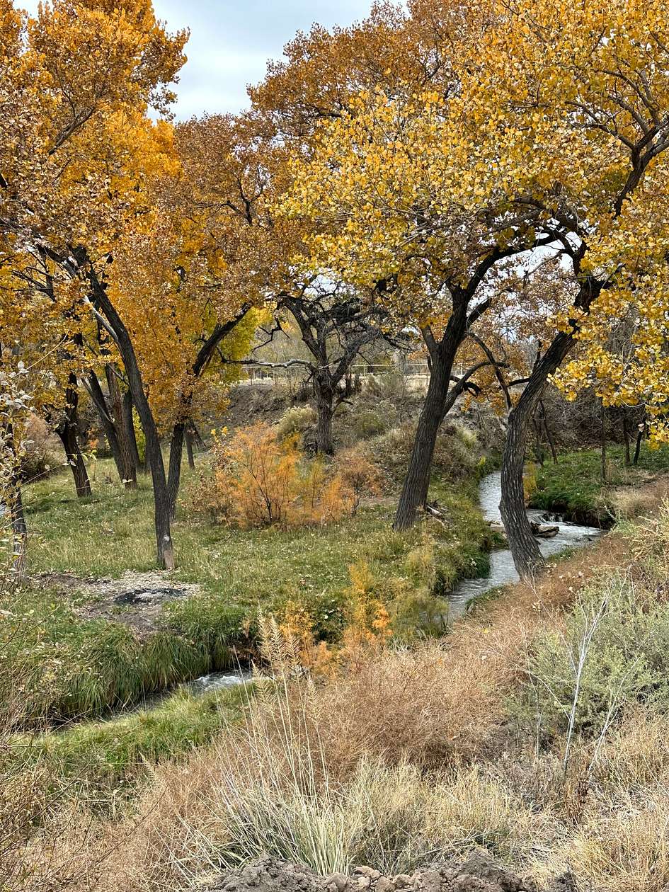 9.5 Acres of Recreational Land & Farm for Sale in Bent, New Mexico