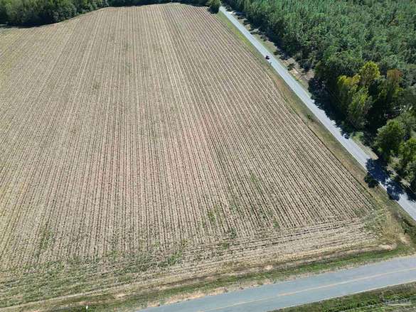 36.5 Acres of Land for Sale in Century, Florida