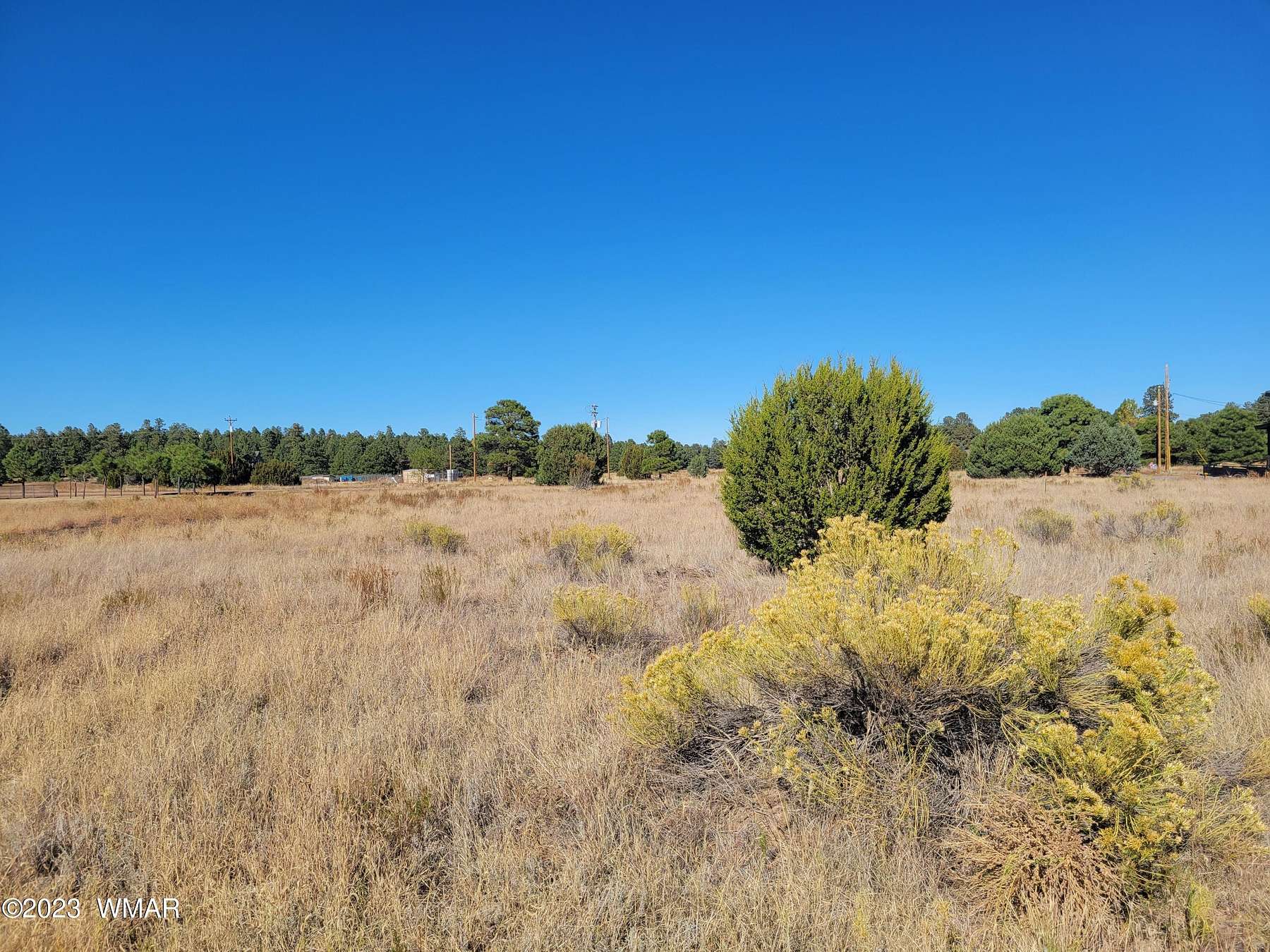 0.28 Acres of Residential Land for Sale in Overgaard, Arizona