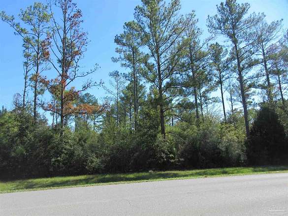 56.93 Acres of Recreational Land for Sale in Jay, Florida
