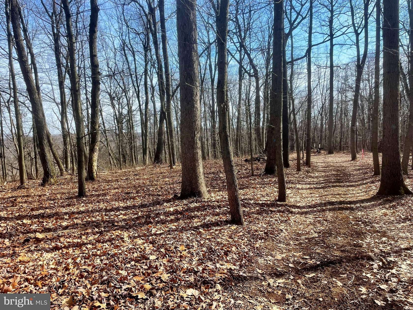 48.1 Acres of Land for Sale in Manchester, Maryland
