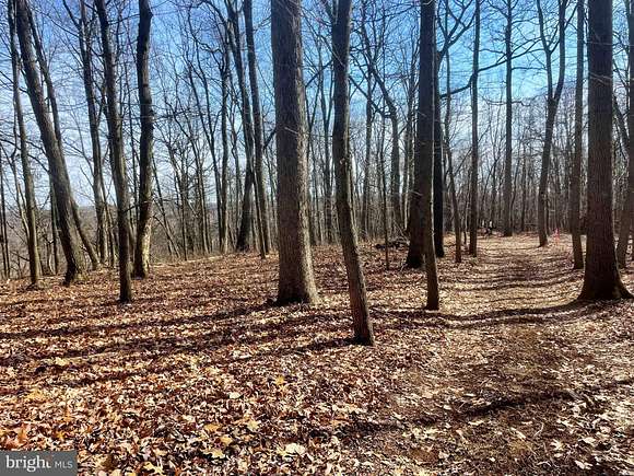 48.1 Acres of Land for Sale in Manchester, Maryland