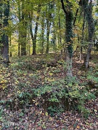 0.71 Acres of Land for Sale in Powell, Tennessee