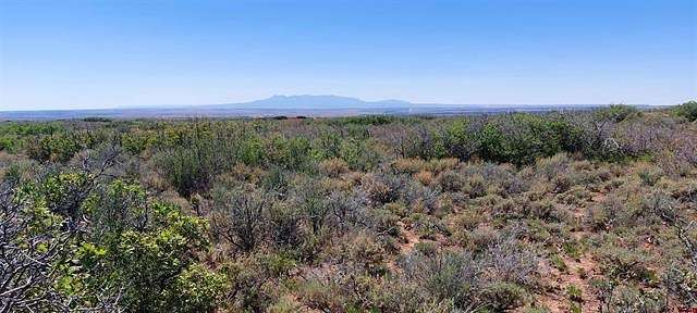 40.3 Acres of Recreational Land & Farm for Sale in Dove Creek, Colorado