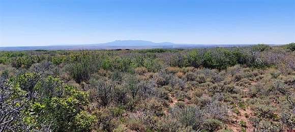 40 Acres of Recreational Land & Farm for Sale in Dove Creek, Colorado