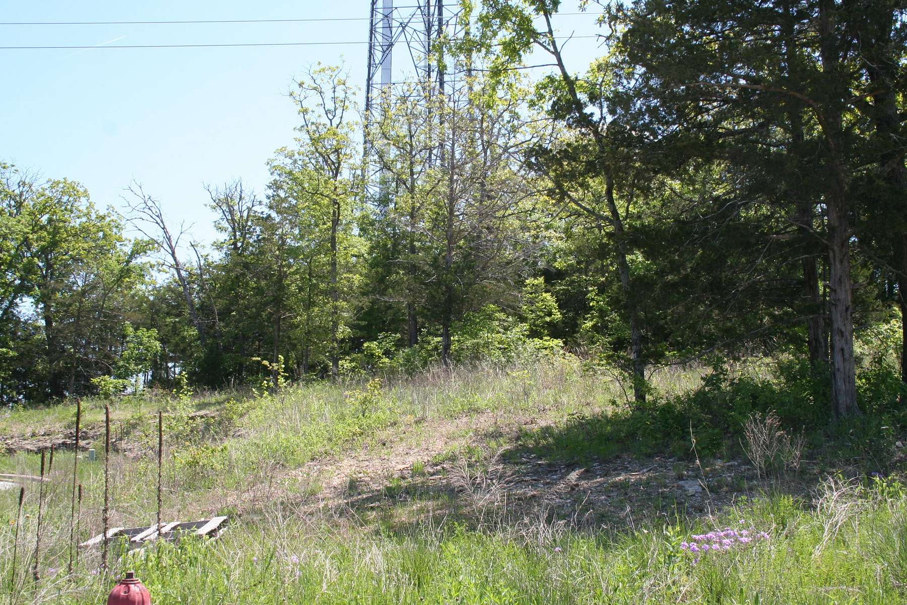 0.2 Acres of Residential Land for Sale in Branson, Missouri