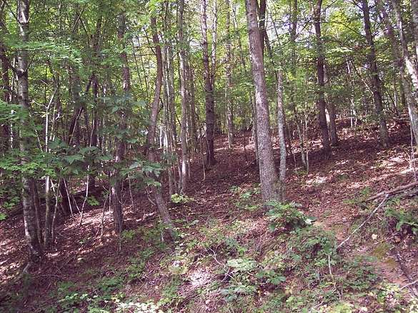 1 Acre of Land for Sale in Murphy, North Carolina