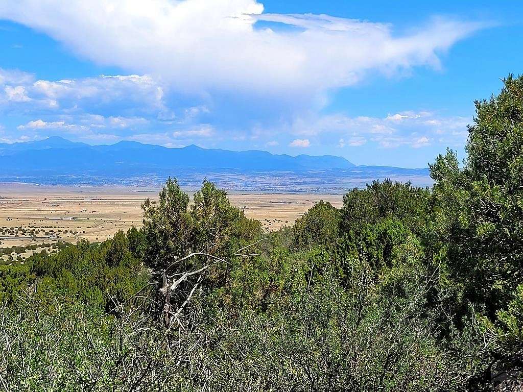40 Acres of Recreational Land for Sale in Beulah, Colorado