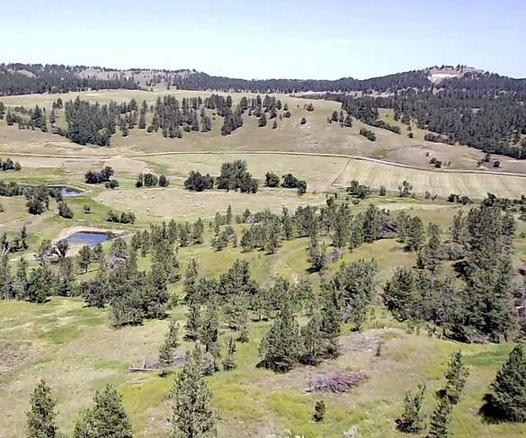37.3 Acres of Agricultural Land for Sale in Hulett, Wyoming