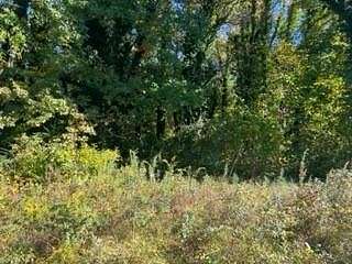 0.77 Acres of Residential Land for Sale in Weems, Virginia